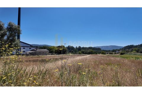 Tomt i Caminha, Viana do Castelo, Caminha - € 60 000 | Ref: B3197 - foto 5