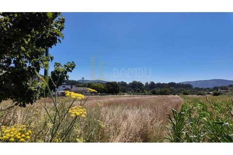 Tomt i Caminha, Viana do Castelo, Caminha - € 60 000 | Ref: B3197 - foto 6