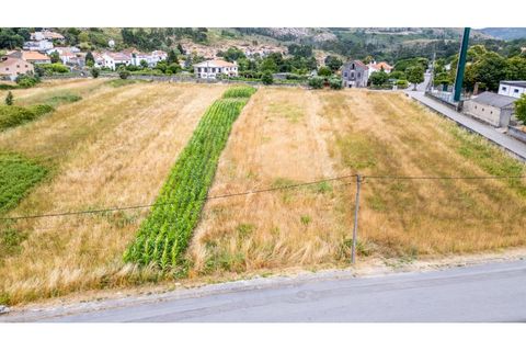 Tomt i Caminha, Viana do Castelo, Caminha - € 60 000 | Ref: B3197 - foto 7