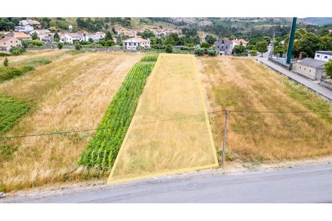 Tomt i Caminha, Viana do Castelo, Caminha - € 60 000 | Ref: B3197 - foto 9