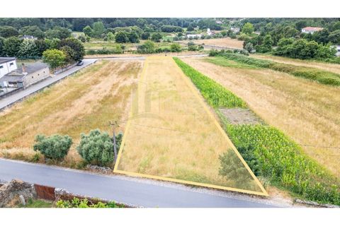 Tomt i Caminha, Viana do Castelo, Caminha - € 60 000 | Ref: B3197 - foto 10