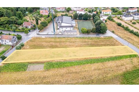 Tomt i Caminha, Viana do Castelo, Caminha - € 60 000 | Ref: B3197 - foto 11