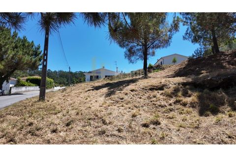 Terra a Caminha, Viana do Castelo, Caminha - € 88.200 | Ref: B2802 - foto 16