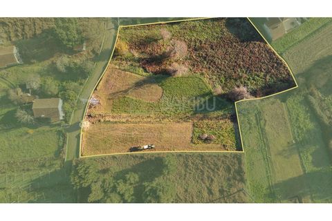 Terra a Caminha, Viana do Castelo, Caminha - € 198.750 | Ref: B3257 - foto 19