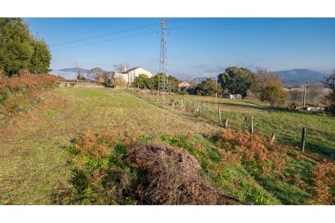 Terra a Caminha, Viana do Castelo, Caminha - € 198.750 | Ref: B3257 - foto 20