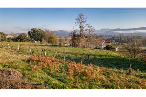 Terra a Caminha, Viana do Castelo, Caminha - € 198.750 | Ref: B3257 - foto 21