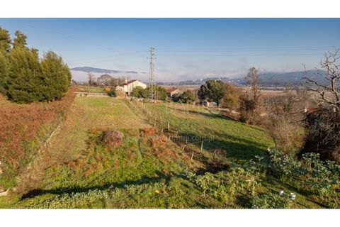 Terra a Caminha, Viana do Castelo, Caminha - € 198.750 | Ref: B3257 - foto 23