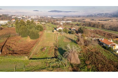 Terra a Caminha, Viana do Castelo, Caminha - € 198.750 | Ref: B3257 - foto 24