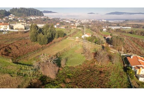 Terra a Caminha, Viana do Castelo, Caminha - € 198.750 | Ref: B3257 - foto 25