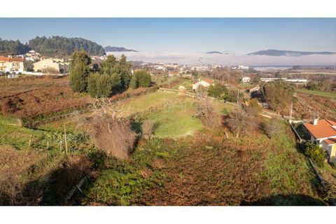 Terra a Caminha, Viana do Castelo, Caminha - € 198.750 | Ref: B3257 - foto 26