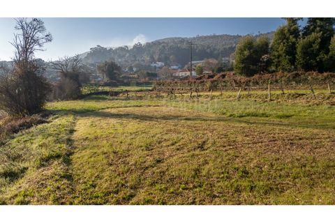 Terra a Caminha, Viana do Castelo, Caminha - € 198.750 | Ref: B3257 - foto 27
