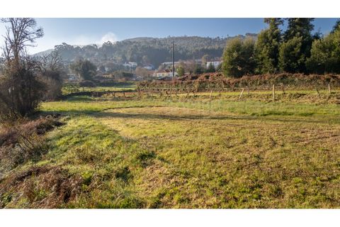 Terra a Caminha, Viana do Castelo, Caminha - € 198.750 | Ref: B3257 - foto 28