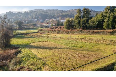 Terra a Caminha, Viana do Castelo, Caminha - € 198.750 | Ref: B3257 - foto 29