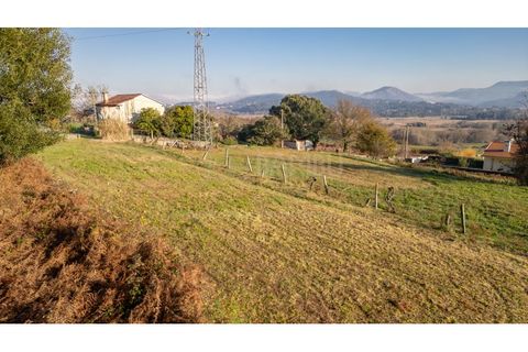 Terra a Caminha, Viana do Castelo, Caminha - € 198.750 | Ref: B3257 - foto 31