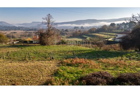 Terra a Caminha, Viana do Castelo, Caminha - € 198.750 | Ref: B3257 - foto 32