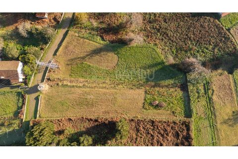Terra a Caminha, Viana do Castelo, Caminha - € 198.750 | Ref: B3257 - foto 33