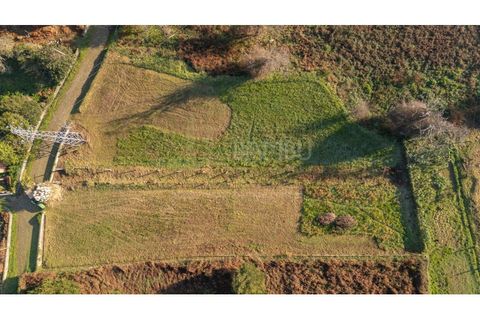 Terra a Caminha, Viana do Castelo, Caminha - € 198.750 | Ref: B3257 - foto 34