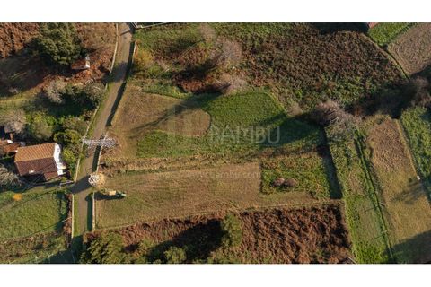 Terra a Caminha, Viana do Castelo, Caminha - € 198.750 | Ref: B3257 - foto 35