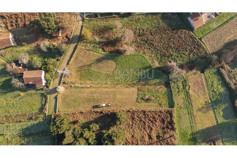 Terra a Caminha, Viana do Castelo, Caminha - € 198.750 | Ref: B3257 - foto 36