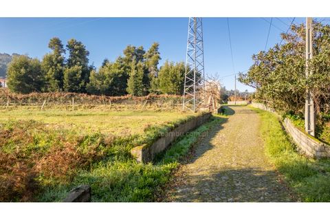 Terra a Caminha, Viana do Castelo, Caminha - € 198.750 | Ref: B3257 - foto 37