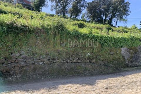 Terra a Caminha, Viana do Castelo, Caminha - € 110.000 | Ref: B3060 - foto 8