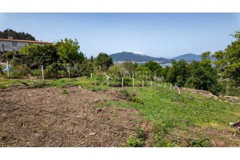 Terra a Caminha, Viana do Castelo, Caminha - € 129.900 | Ref: B3271 - foto 10