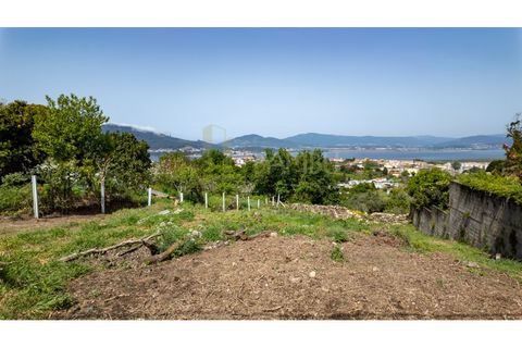 Terra a Caminha, Viana do Castelo, Caminha - € 129.900 | Ref: B3271 - foto 13