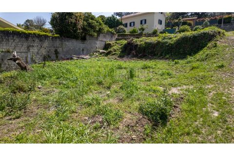 Terra a Caminha, Viana do Castelo, Caminha - € 129.900 | Ref: B3271 - foto 14