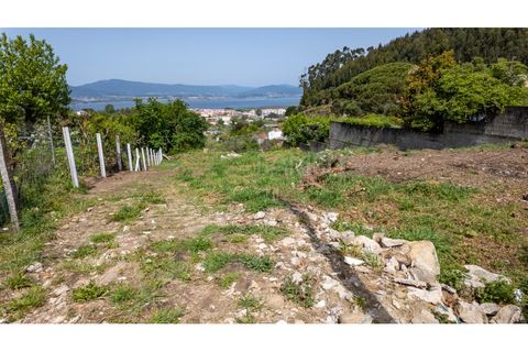 Terra a Caminha, Viana do Castelo, Caminha - € 129.900 | Ref: B3271 - foto 15