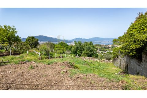 Terra a Caminha, Viana do Castelo, Caminha - € 129.900 | Ref: B3271 - foto 16