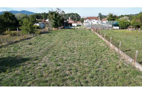 Terra em Valenca, Viana do Castelo, Valenca - € 40.000 | Ref: B3234 - foto 3
