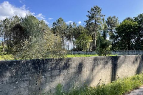 Helårsgrund i Valenca, Viana do Castelo, Valenca - € 38.000 | Ref: B2939 - foto 6