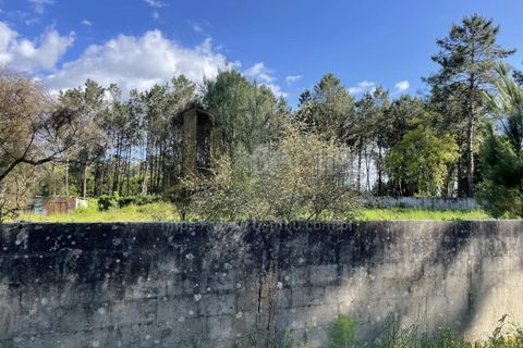 Helårsgrund i Valenca, Viana do Castelo, Valenca - € 38.000 | Ref: B2939 - foto 7