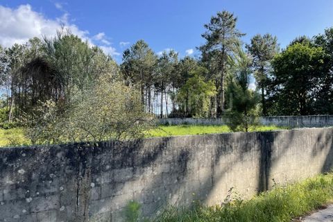Helårsgrund i Valenca, Viana do Castelo, Valenca - € 38.000 | Ref: B2939 - foto 8