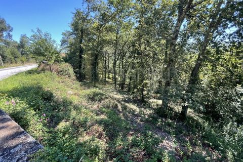 Grond in Venade e Azevedo, Viana do Castelo, Venade e Azevedo - € 36.000 | Ref: B2964 - foto 1