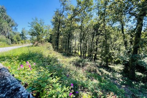 Grond in Venade e Azevedo, Viana do Castelo, Venade e Azevedo - € 36.000 | Ref: B2964 - foto 2