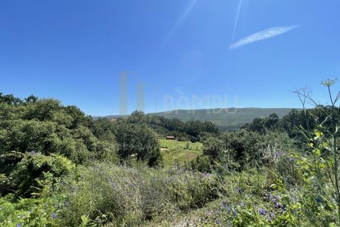 Grond in Venade e Azevedo, Viana do Castelo, Venade e Azevedo - € 36.000 | Ref: B2964 - foto 3