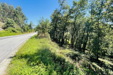 Grond in Venade e Azevedo, Viana do Castelo, Venade e Azevedo - € 36.000 | Ref: B2964 - foto 6