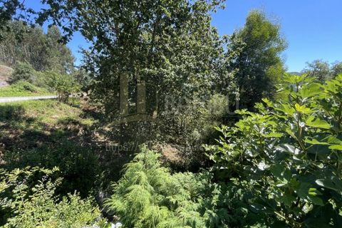 Grond in Venade e Azevedo, Viana do Castelo, Venade e Azevedo - € 36.000 | Ref: B2964 - foto 8