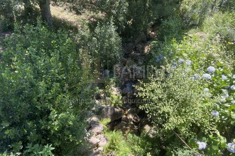 Grond in Venade e Azevedo, Viana do Castelo, Venade e Azevedo - € 36.000 | Ref: B2964 - foto 9