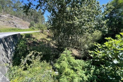 Grond in Venade e Azevedo, Viana do Castelo, Venade e Azevedo - € 36.000 | Ref: B2964 - foto 10