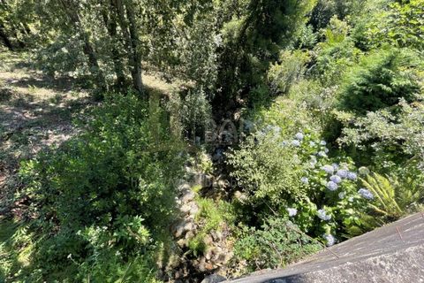Grond in Venade e Azevedo, Viana do Castelo, Venade e Azevedo - € 36.000 | Ref: B2964 - foto 11