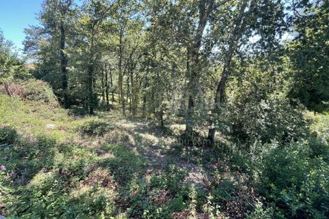 Grond in Venade e Azevedo, Viana do Castelo, Venade e Azevedo - € 36.000 | Ref: B2964 - foto 12