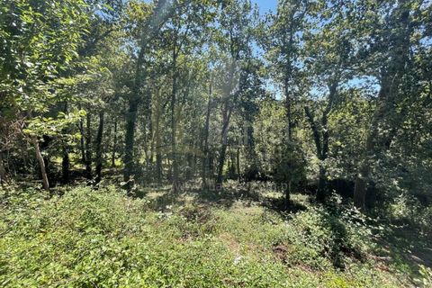 Grond in Venade e Azevedo, Viana do Castelo, Venade e Azevedo - € 36.000 | Ref: B2964 - foto 15