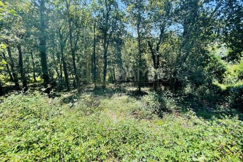 Grond in Venade e Azevedo, Viana do Castelo, Venade e Azevedo - € 36.000 | Ref: B2964 - foto 16