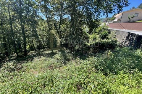 Grond in Venade e Azevedo, Viana do Castelo, Venade e Azevedo - € 36.000 | Ref: B2964 - foto 17