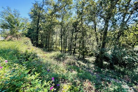 Grond in Venade e Azevedo, Viana do Castelo, Venade e Azevedo - € 36.000 | Ref: B2964 - foto 18