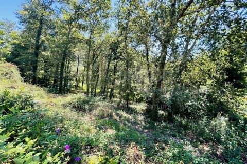 Grond in Venade e Azevedo, Viana do Castelo, Venade e Azevedo - € 36.000 | Ref: B2964 - foto 19