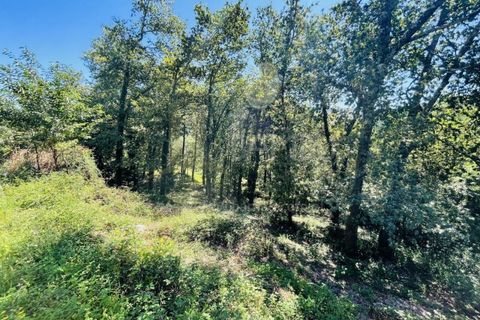 Grond in Venade e Azevedo, Viana do Castelo, Venade e Azevedo - € 36.000 | Ref: B2964 - foto 21