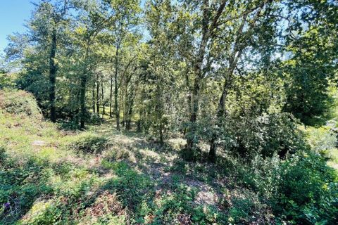 Grond in Venade e Azevedo, Viana do Castelo, Venade e Azevedo - € 36.000 | Ref: B2964 - foto 23